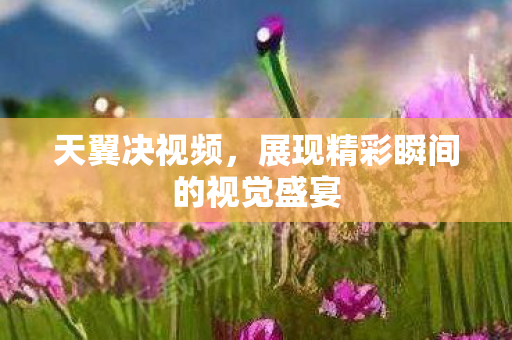 天翼决视频,展现精彩瞬间的视觉盛宴 天翼决视频,展现精彩瞬间的视觉盛宴