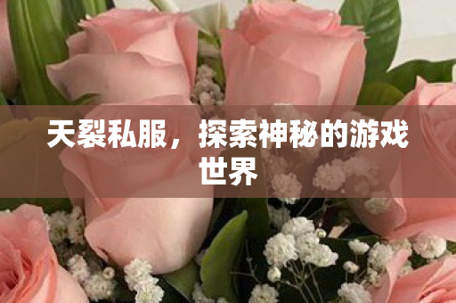 天裂私服,探索神秘的游戏世界 天裂私服,探索神秘的游戏世界