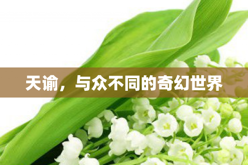 天谕,与众不同的奇幻世界 天谕,与众不同的奇幻世界