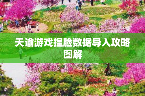 天谕游戏捏脸数据导入攻略图解 天谕游戏捏脸数据导入攻略图解