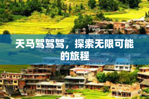 天马驾驾驾,探索无限可能的旅程 天马驾驾驾,探索无限可能的旅程
