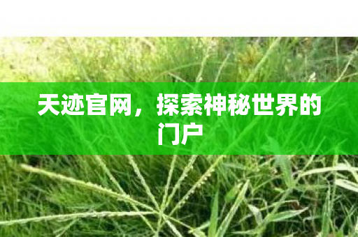 天迹官网,探索神秘世界的门户 天迹官网,探索神秘世界的门户