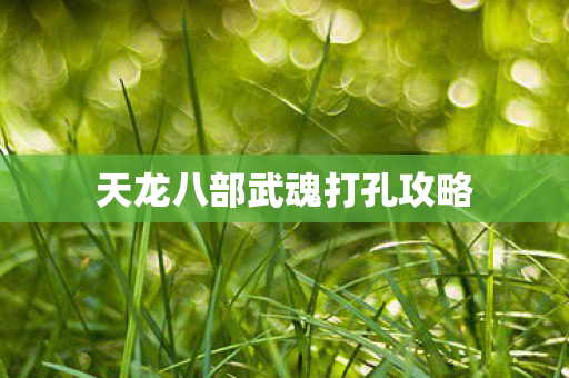 天龙八部武魂打孔攻略 天龙八部武魂打孔攻略