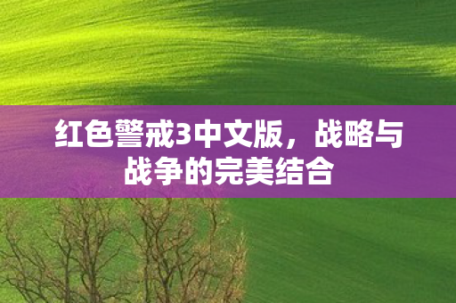 红色警戒3中文版,战略与战争的完美结合 红色警戒3中文版,战略与战争的完美结合