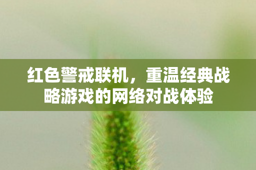 红色警戒联机,重温经典战略游戏的网络对战体验 红色警戒联机,重温经典战略游戏的网络对战体验
