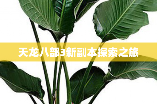 天龙八部3新副本探索之旅 天龙八部3新副本探索之旅