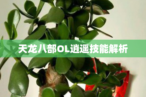 天龙八部OL逍遥技能解析 天龙八部OL逍遥技能解析