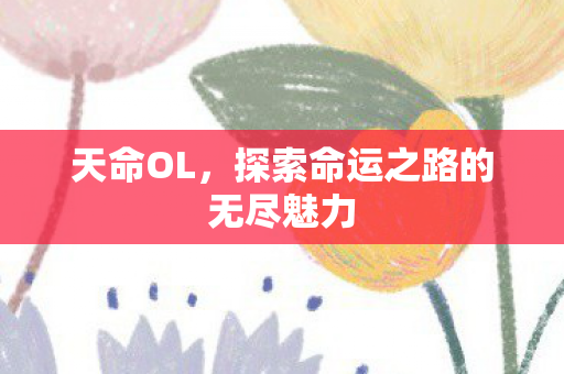 天命OL,探索命运之路的无尽魅力 天命OL,探索命运之路的无尽魅力