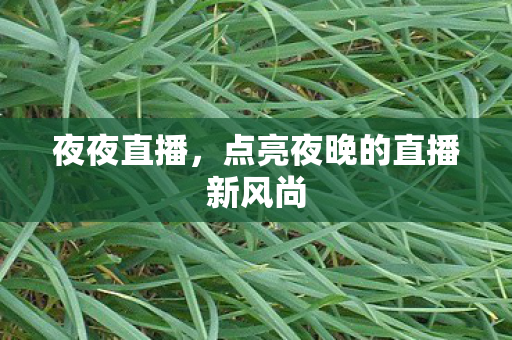 夜夜直播,点亮夜晚的直播新风尚 夜夜直播,点亮夜晚的直播新风尚
