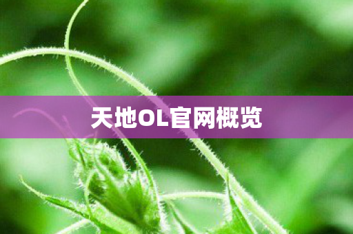 天地OL官网概览 天地OL官网概览