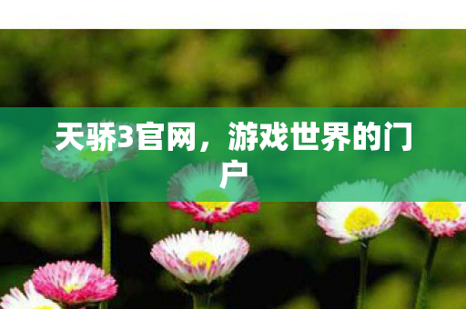 天骄3官网,游戏世界的门户 天骄3官网,游戏世界的门户