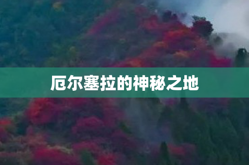 厄尔塞拉的神秘之地 厄尔塞拉的神秘之地