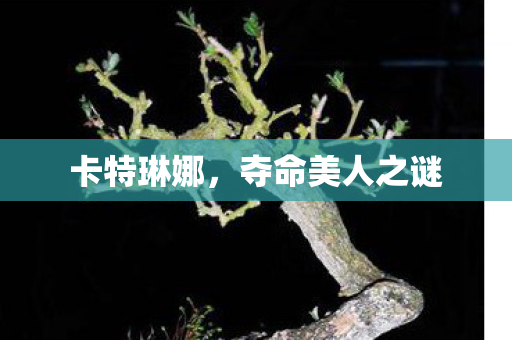 卡特琳娜,夺命美人之谜 卡特琳娜,夺命美人之谜