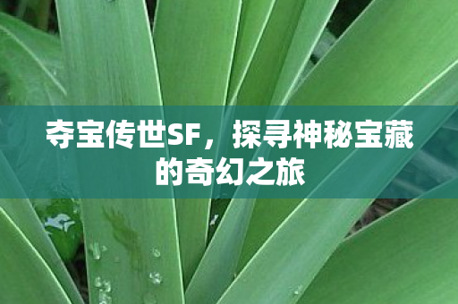 夺宝传世SF，探寻神秘宝藏的奇幻之旅