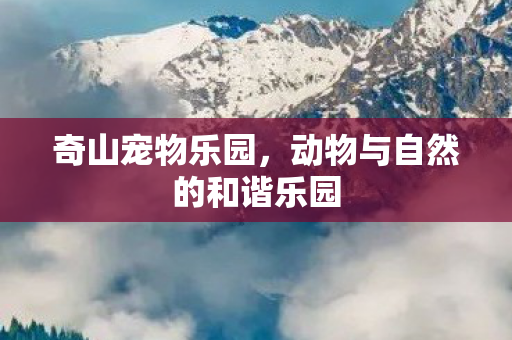 奇山宠物乐园，动物与自然的和谐乐园