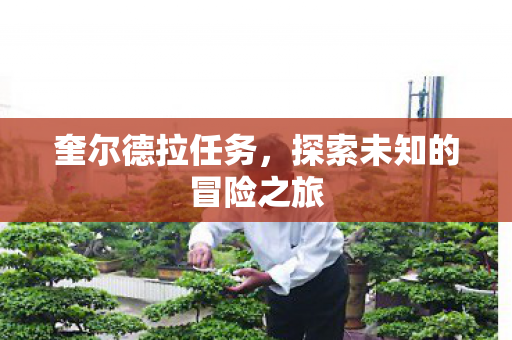 奎尔德拉任务,探索未知的冒险之旅 奎尔德拉任务,探索未知的冒险之旅
