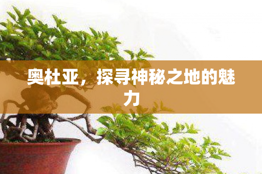 奥杜亚,探寻神秘之地的魅力 奥杜亚,探寻神秘之地的魅力