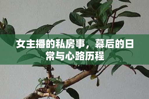 女主播的私房事,幕后的日常与心路历程 女主播的私房事,幕后的日常与心路历程