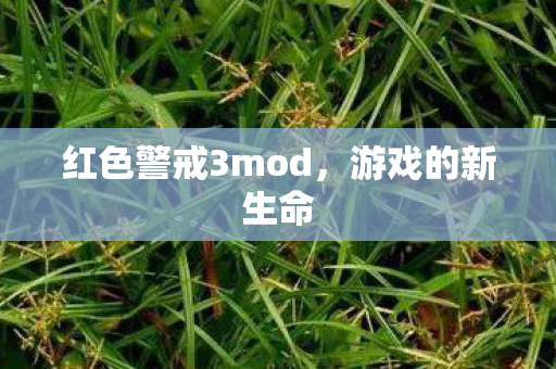 红色警戒3mod,游戏的新生命 红色警戒3mod,游戏的新生命