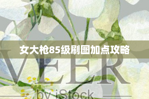 女大枪85级刷图加点攻略 女大枪85级刷图加点攻略
