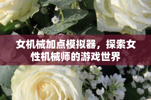 女机械加点模拟器,探索女性机械师的游戏世界 女机械加点模拟器,探索女性机械师的游戏世界