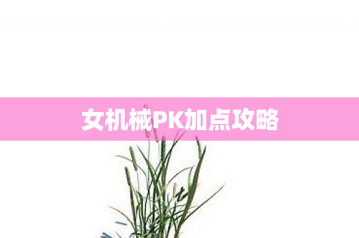 女机械PK加点攻略 女机械PK加点攻略