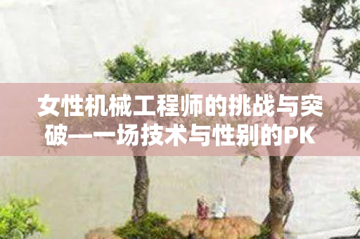 女性机械工程师的挑战与突破—一场技术与性别的PK 女性机械工程师的挑战与突破—一场技术与性别的PK