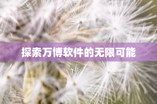 探索万博软件的无限可能 探索万博软件的无限可能