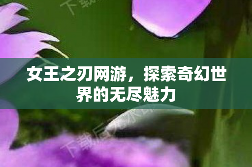 女王之刃网游,探索奇幻世界的无尽魅力 女王之刃网游,探索奇幻世界的无尽魅力