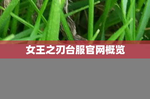 女王之刃台服官网概览 女王之刃台服官网概览