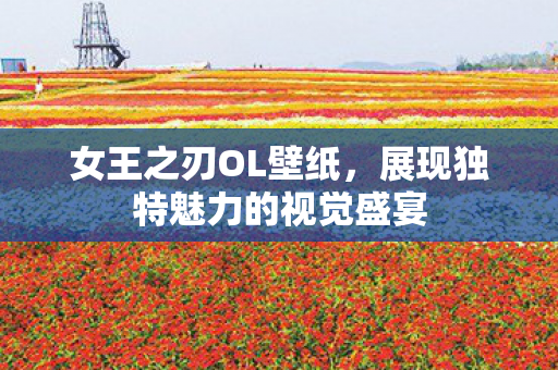 女王之刃OL壁纸,展现独特魅力的视觉盛宴 女王之刃OL壁纸,展现独特魅力的视觉盛宴