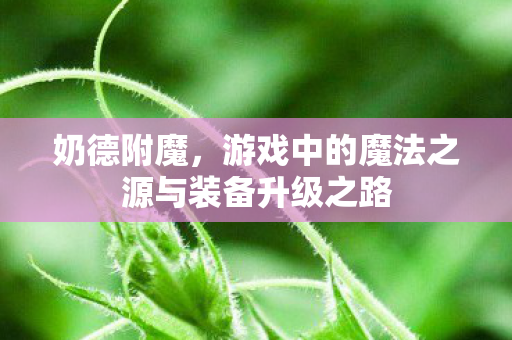 奶德附魔,游戏中的魔法之源与装备升级之路 奶德附魔,游戏中的魔法之源与装备升级之路