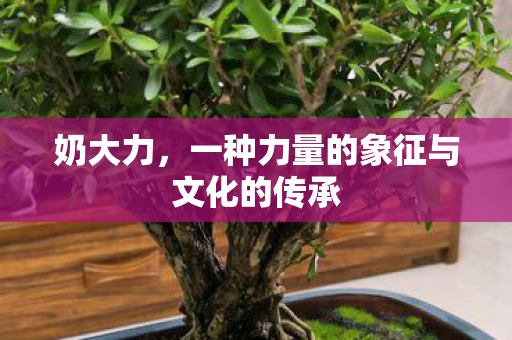 奶大力,一种力量的象征与文化的传承 奶大力,一种力量的象征与文化的传承