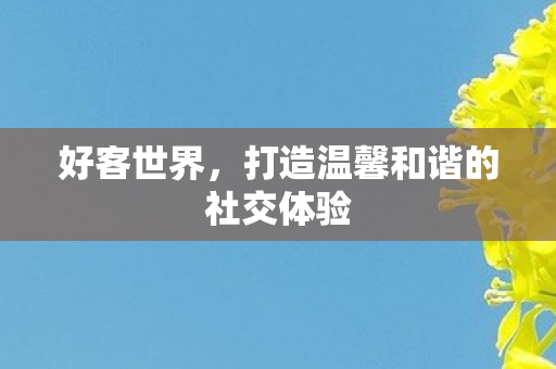 好客世界,打造温馨和谐的社交体验 好客世界,打造温馨和谐的社交体验