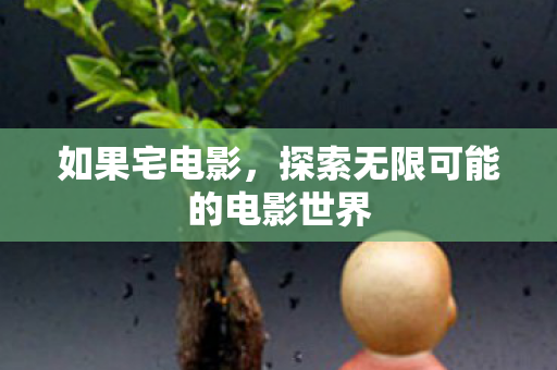 如果宅电影,探索无限可能的电影世界 如果宅电影,探索无限可能的电影世界