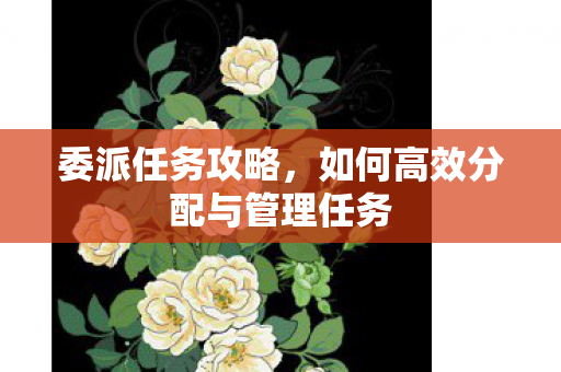 委派任务攻略,如何高效分配与管理任务 委派任务攻略,如何高效分配与管理任务