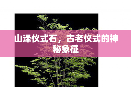 山泽仪式石,古老仪式的神秘象征 山泽仪式石,古老仪式的神秘象征