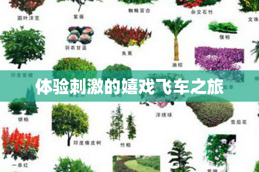 体验刺激的嬉戏飞车之旅 体验刺激的嬉戏飞车之旅
