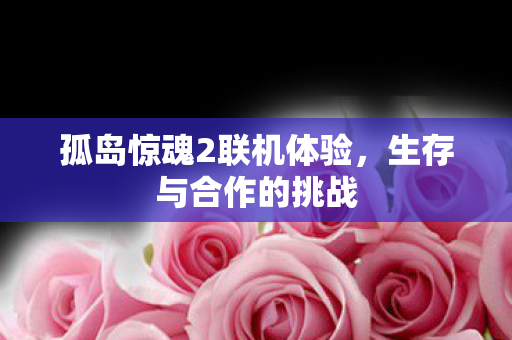 孤岛惊魂2联机体验,生存与合作的挑战 孤岛惊魂2联机体验,生存与合作的挑战
