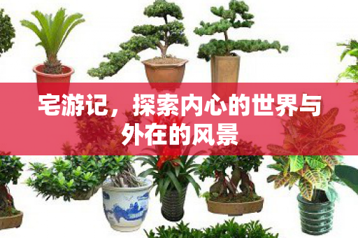 宅游记,探索内心的世界与外在的风景 宅游记,探索内心的世界与外在的风景