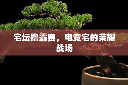 宅坛撸霸赛,电竞宅的荣耀战场 宅坛撸霸赛,电竞宅的荣耀战场