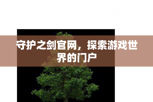 守护之剑官网,探索游戏世界的门户 守护之剑官网,探索游戏世界的门户
