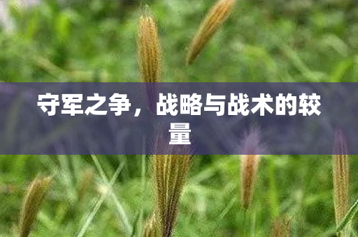 守军之争,战略与战术的较量 守军之争,战略与战术的较量