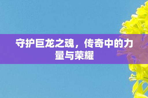 守护巨龙之魂,传奇中的力量与荣耀 守护巨龙之魂,传奇中的力量与荣耀