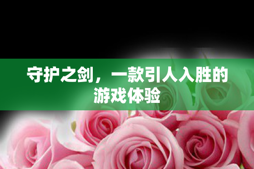 守护之剑,一款引人入胜的游戏体验 守护之剑,一款引人入胜的游戏体验