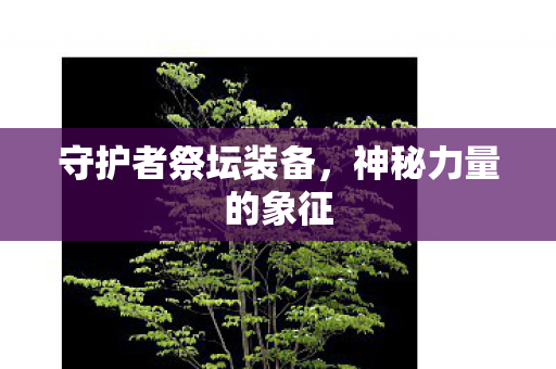 守护者祭坛装备,神秘力量的象征 守护者祭坛装备,神秘力量的象征
