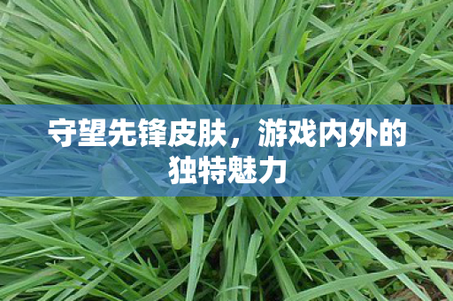守望先锋皮肤,游戏内外的独特魅力 守望先锋皮肤,游戏内外的独特魅力