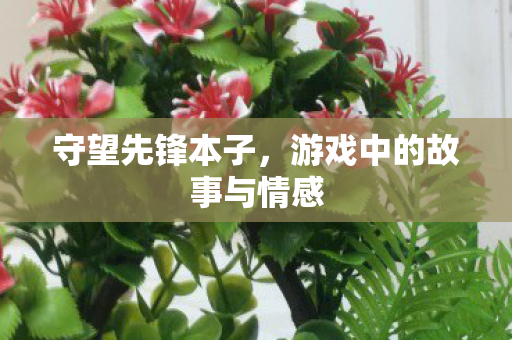 守望先锋本子,游戏中的故事与情感 守望先锋本子,游戏中的故事与情感