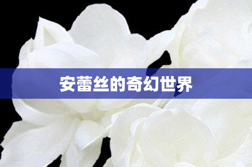 安蕾丝的奇幻世界