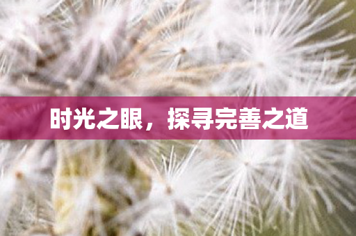 时光之眼,探寻完善之道 时光之眼,探寻完善之道